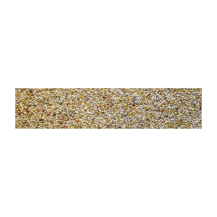 Manitoba Exotic Best Premium Miscela Arricchita per Uccelli Esotici 3 Kg | Zoopluto