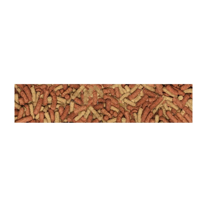 Manitoba My Parrots Unico Alimento Estruso per Pappagalli 2 Kg | Zoopluto