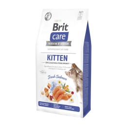 Brit Care Cat Kitten Salmone Grain Free 2 kg | Zoo Pluto