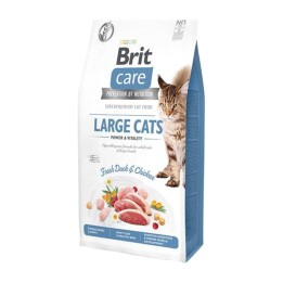Brit Care Cat Grain Free Gatti di Taglia Grande Anatra e