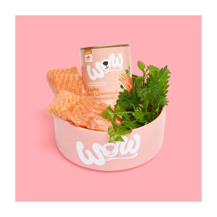 WOW Adulto Salmone con Dente di Leone e Ortica 800 g