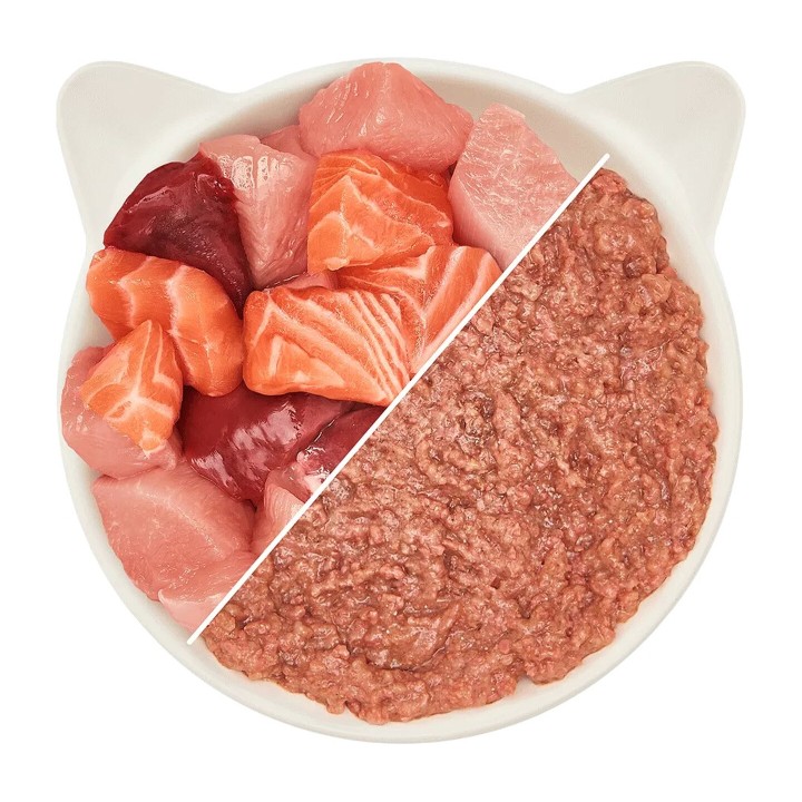 WOW Cat Adult Patè Pollo e Salmone 125 g | Zoo Pluto