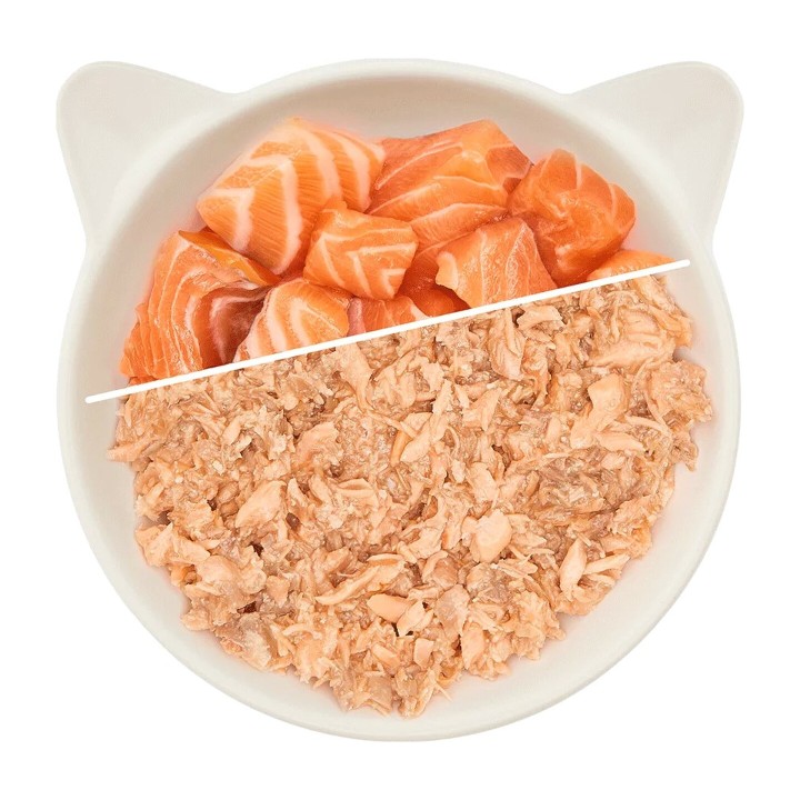 WOW Cat Adulto Filetto di Salmone 70 g | Zoo Pluto