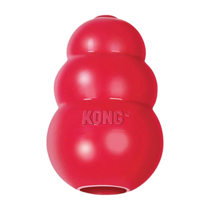 KONG Classic Large | Zoo Pluto
