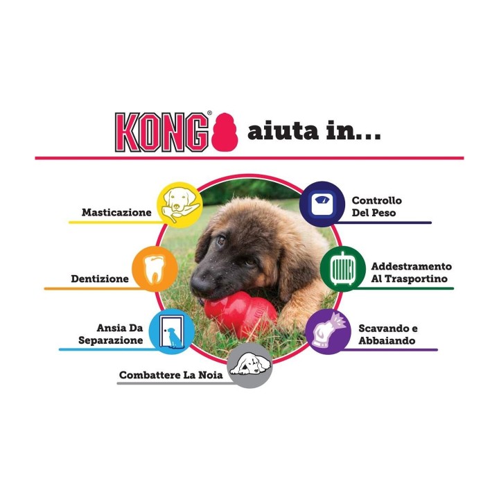 KONG Classic Medium | Zoo Pluto
