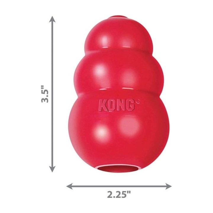 KONG Puppy Small | Zoo Pluto