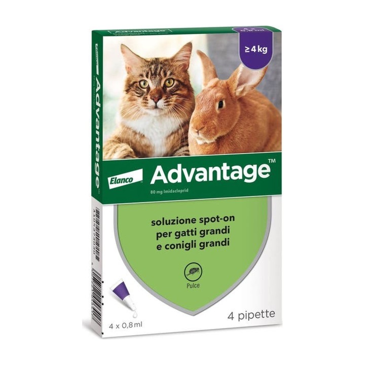 Advantage 80 Spot-On Gatto e Coniglio oltre 4 kg da 0,8 ml