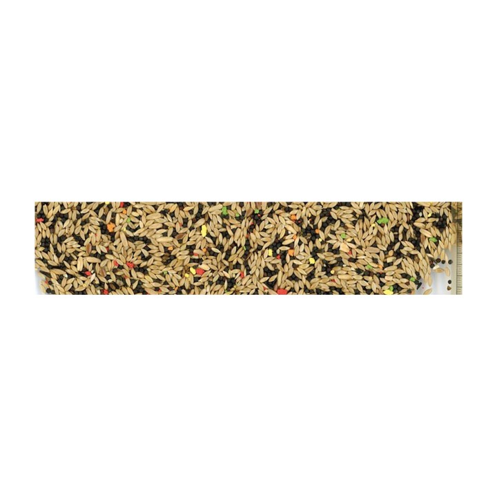 Manitoba Canarini T1 Biscuit Miscela di 6 Semi con Biscotto