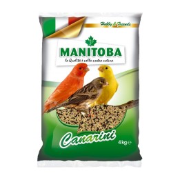 Manitoba Canarini T1 Biscuit Miscela di 6 Semi con Biscotto
