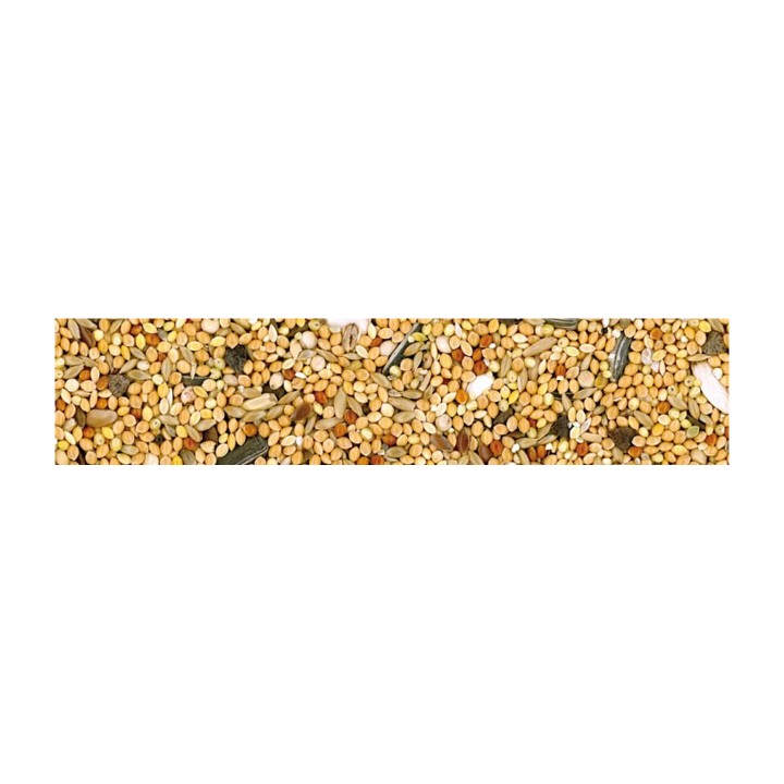 Manitoba Parrocchetti Miscela Universale di Semi 1 kg