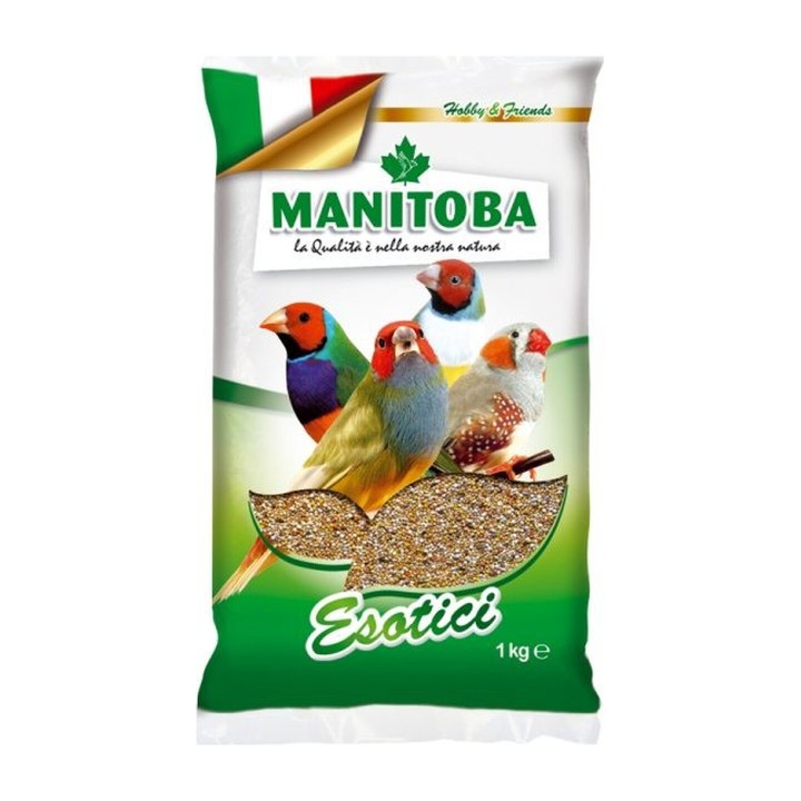 Manitoba Esotici Miscela di Semi 1 kg | Zoo Pluto