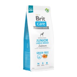 Brit Care Grain Free Junior Taglia Grande Salmone 12 kg